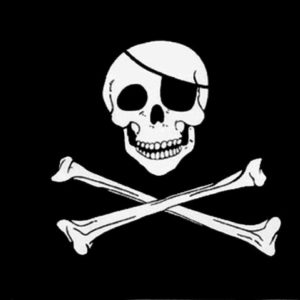 Skull and Crossbones Flag
