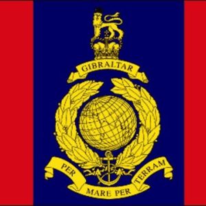 d   Royal Marines 45 Commando Flag
