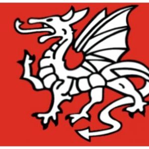 e   English Pendragon Anglo Saxon Flag