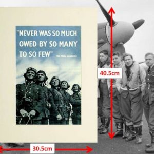 RAF The Few Mounted Print