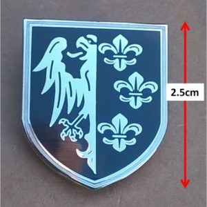 Charlemagne pin