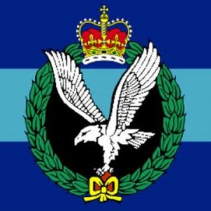 c  Army Air Corps Flag