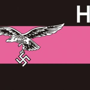A  German WW2 Herman Goring Division Flag