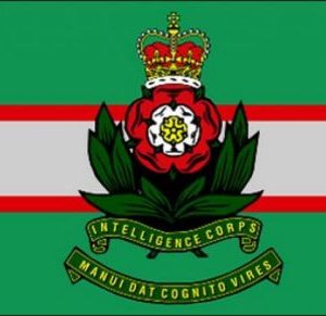 Intelligence Corps Flag
