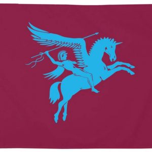 c Airborne Pegasus Flag